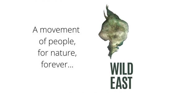 WildEast Movement