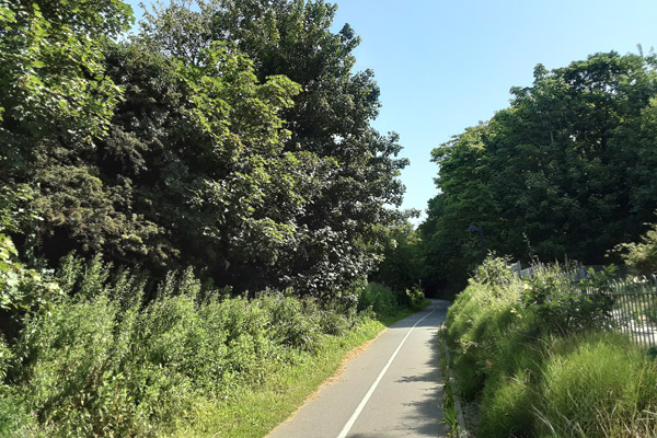 A photo of a large number of plants. Through the middle runs a tarmac cycle path