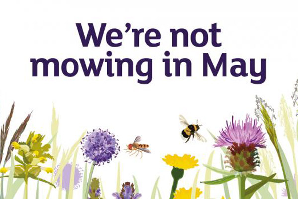 A graphic which reads "We're not mowing in May"
